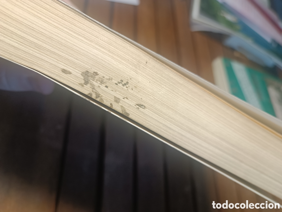 Libros de segunda mano: El gran Libro del Ajedrez, Natale Ramini, Editorial De Vecchi - Foto 6