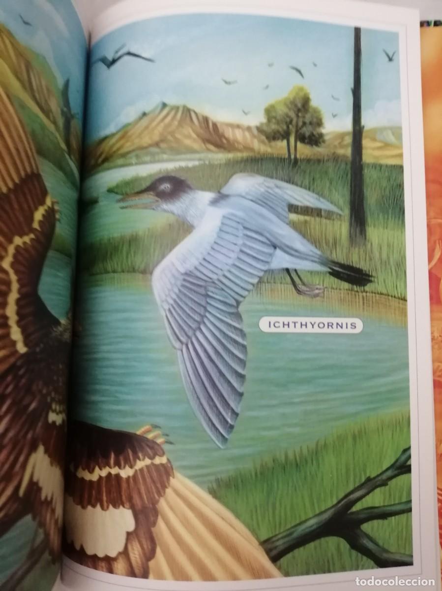 Libros de segunda mano: Geronimo Stilton: Dinosaurios (tapa dura) - Foto 3