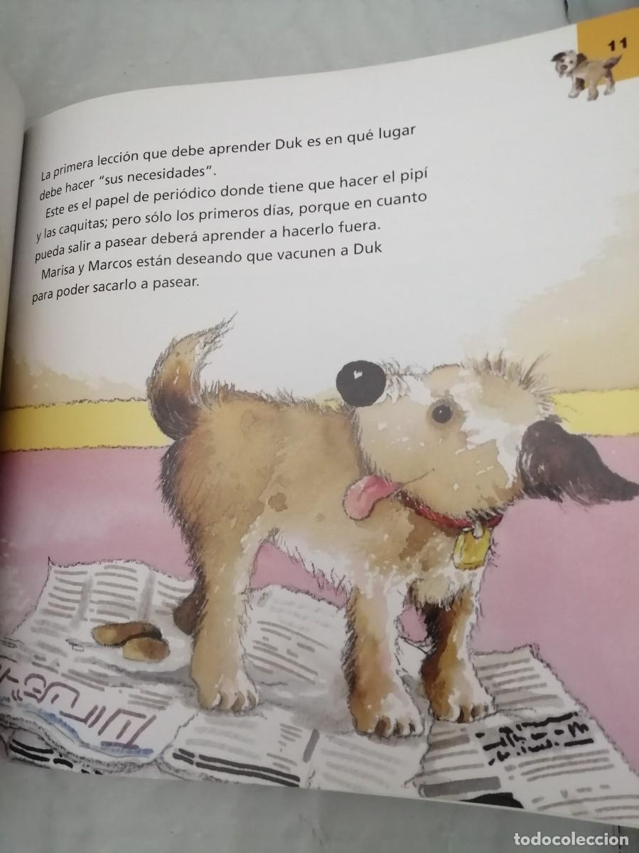 Libros de segunda mano: Un Perro en Casa (Edeb&eacute; / ANAA, 2008) - Foto 5