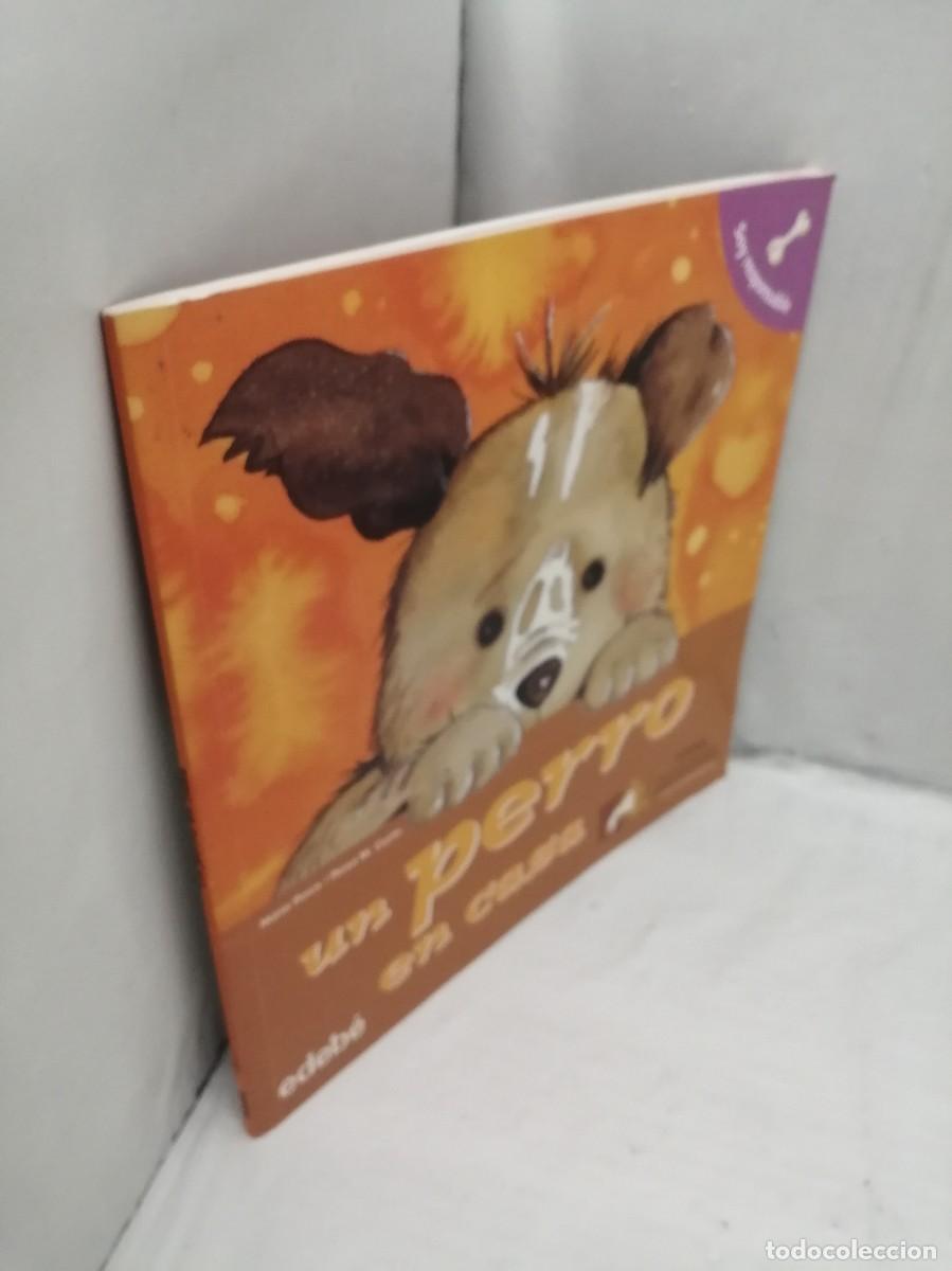 Libros de segunda mano: Un Perro en Casa (Edeb&eacute; / ANAA, 2008) - Foto 9