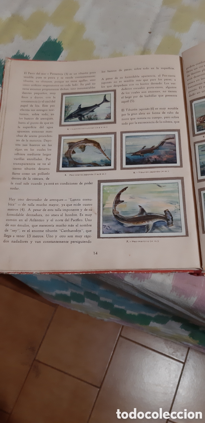 Libros de segunda mano: Las Maravillas del Universo (Nestle) - Foto 4