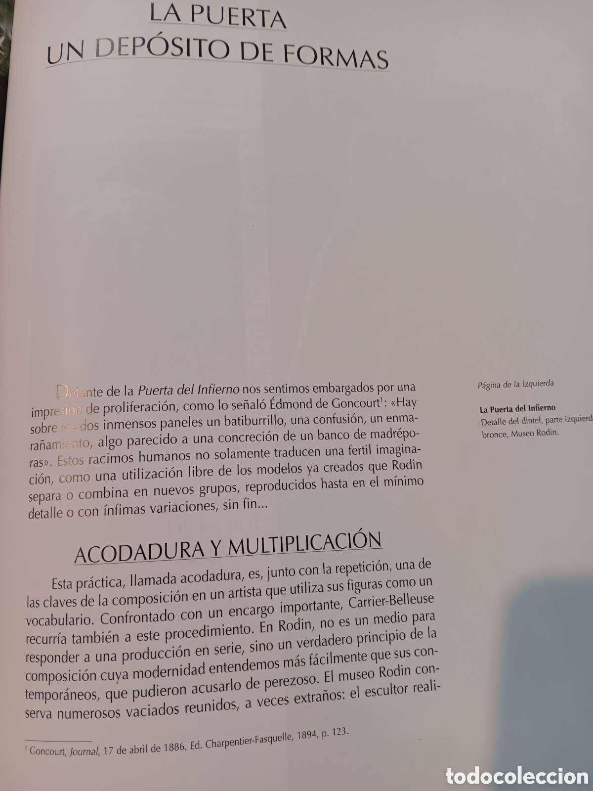 Libros de segunda mano: Dominique Jarrass&eacute;. Rodin - Foto 3