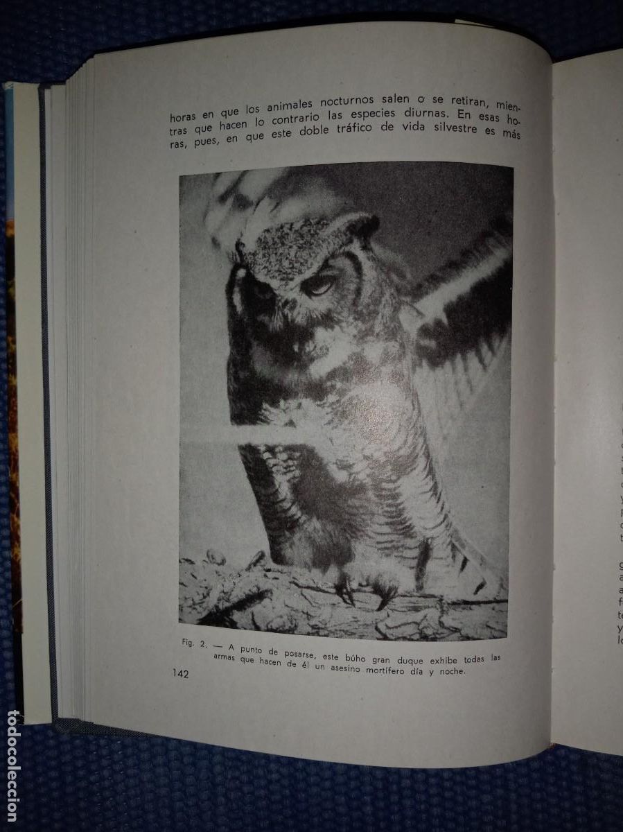 Libros de segunda mano: Manual del cazador de alima&ntilde;as y grajos - Foto 3