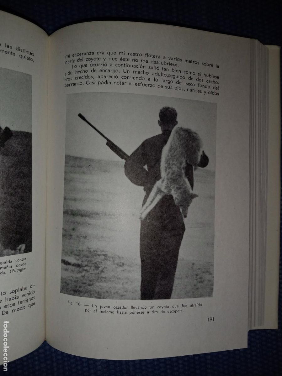 Libros de segunda mano: Manual del cazador de alima&ntilde;as y grajos - Foto 5