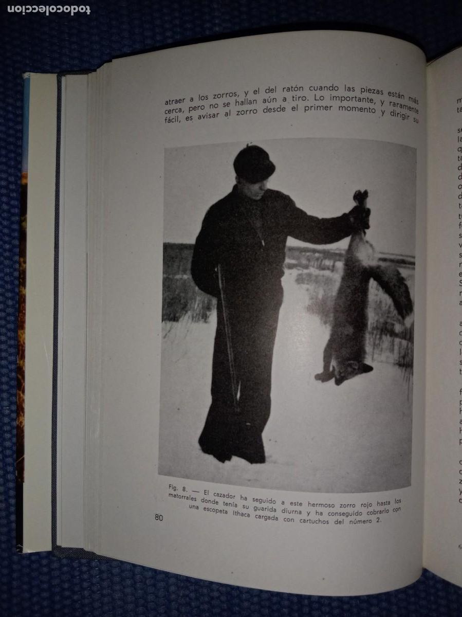 Libros de segunda mano: Manual del cazador de alima&ntilde;as y grajos - Foto 6