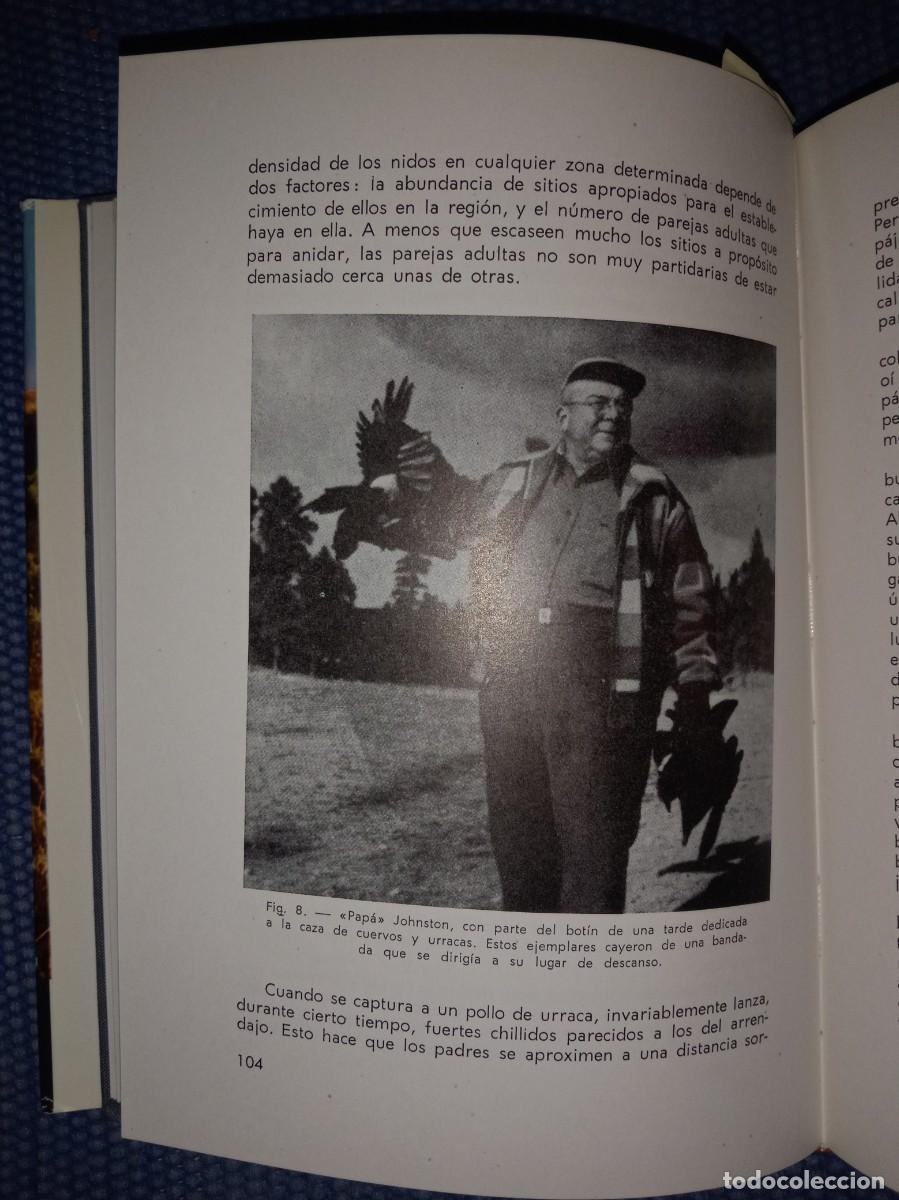 Libros de segunda mano: Manual del cazador de alima&ntilde;as y grajos - Foto 7