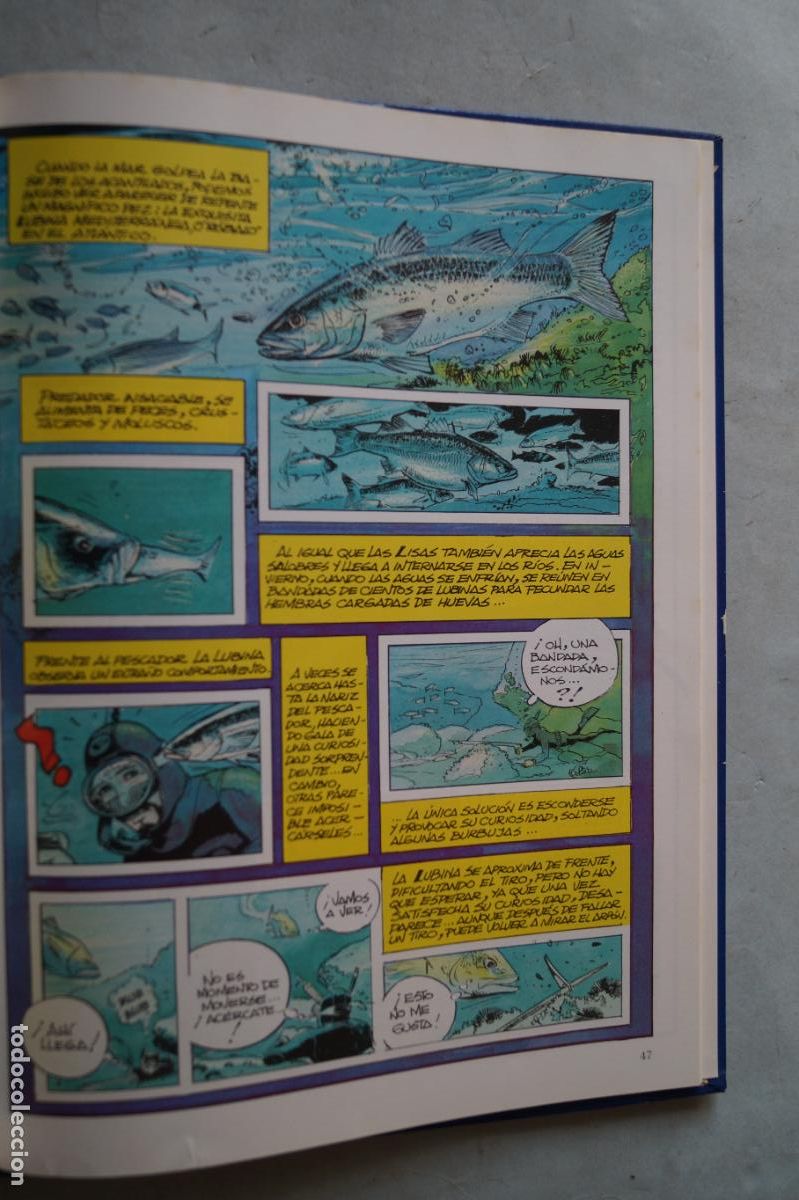 Libros de segunda mano: LA PESCA SUBMARINA. JEAN BAPTISTE ESCLAPEZ - Foto 2