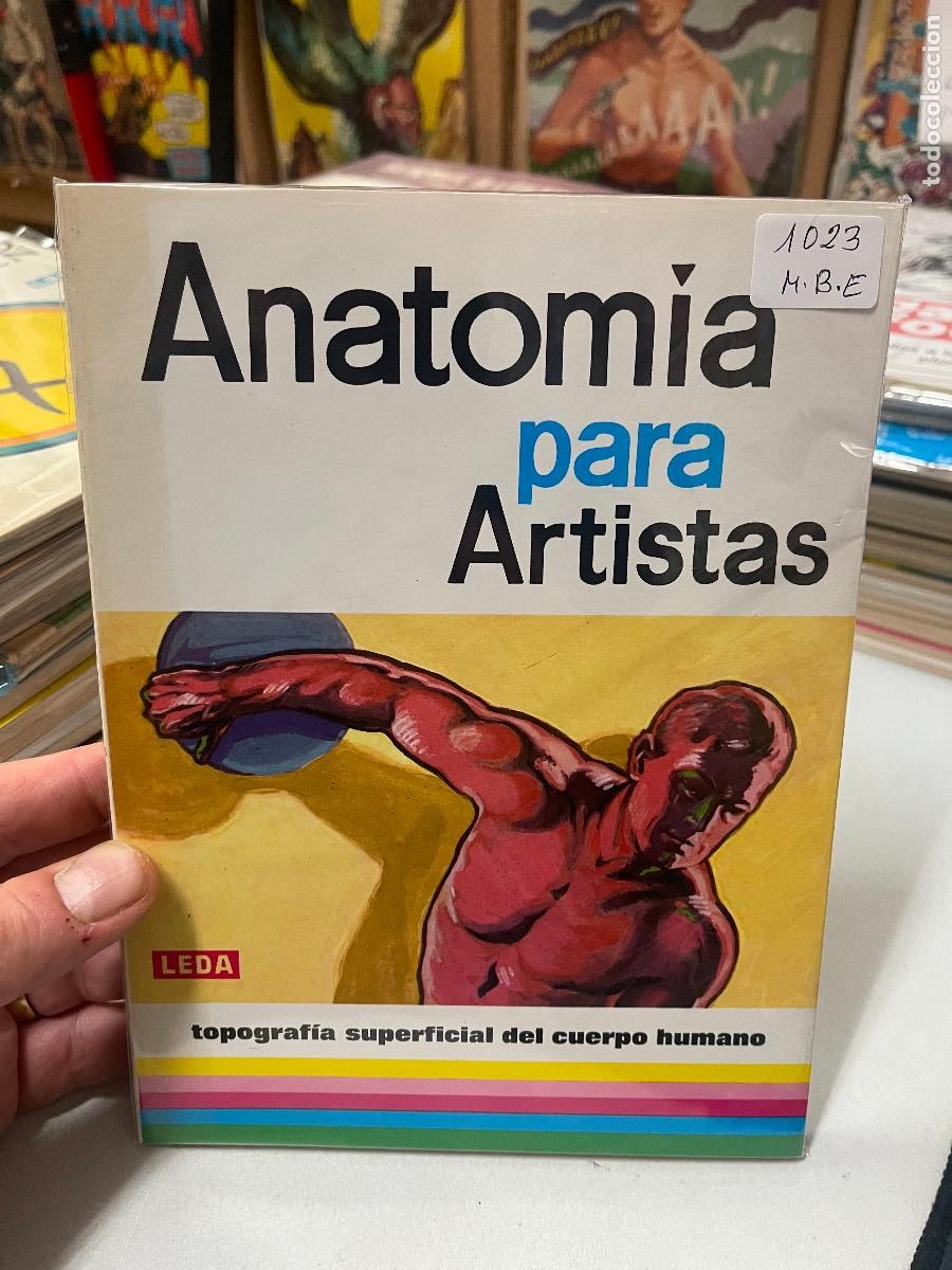 Libri di seconda mano: ANATOMIA PARA ARTISTAS BUEN ESTADO
