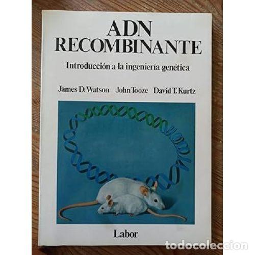 Libros de segunda mano: Adn Recombinante: Introducci&oacute;n a la Ingenier&iacute;a Gen&eacute;tica - Watson, James D. - De Bolsillo - 1988, 1&ordf;
