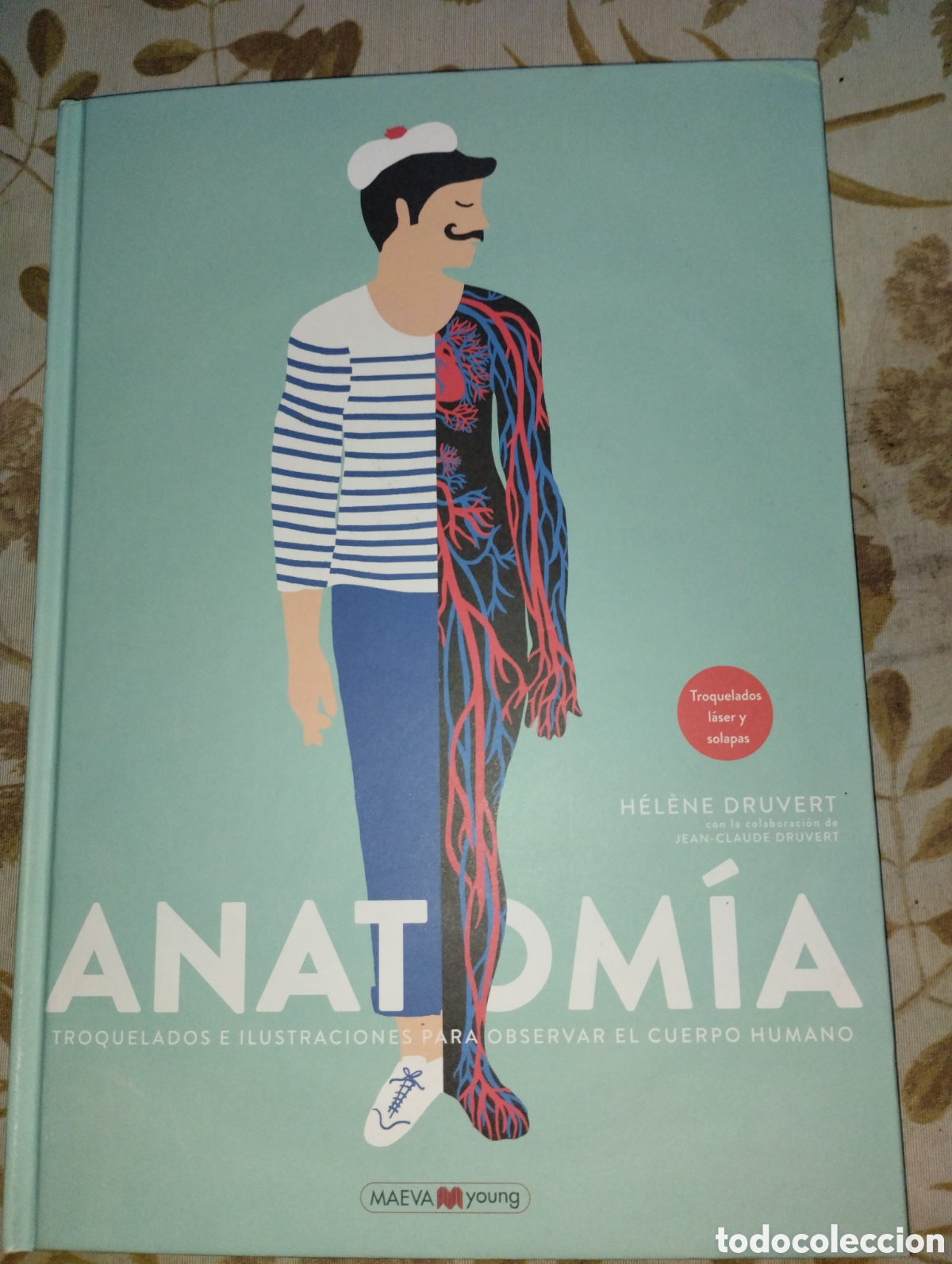 Gebrauchte B&uuml;cher: ANATOM&Iacute;A, TROQUELADOS E ILUSTRACIONES PARA OBSERVAR EL CUERPO HUMANO