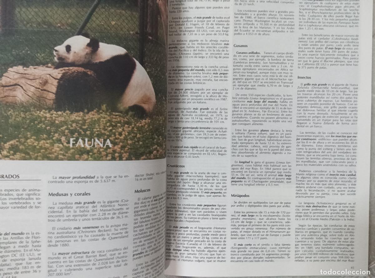 Libros de segunda mano: EL libro mundial de los records. TOMO ed. Maeva - Foto 2
