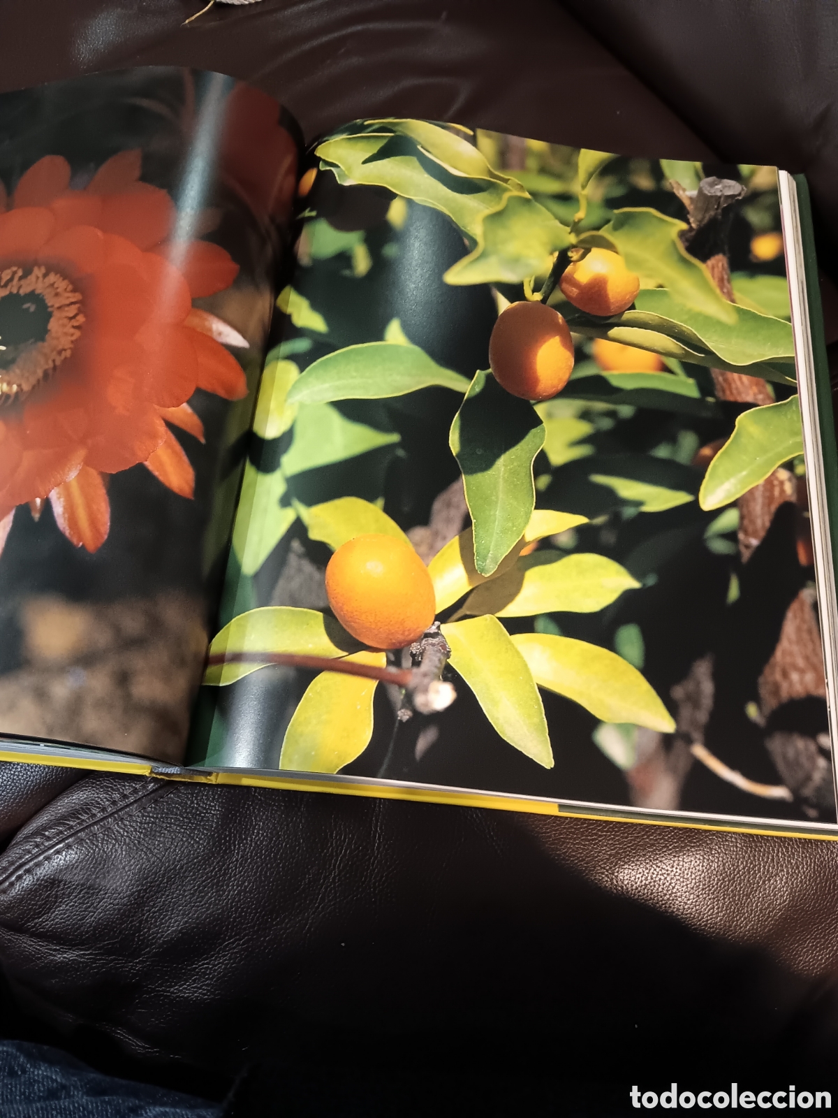 Libros de segunda mano: Jardines de Felicidad. Ch. Seeling y otros - Foto 5