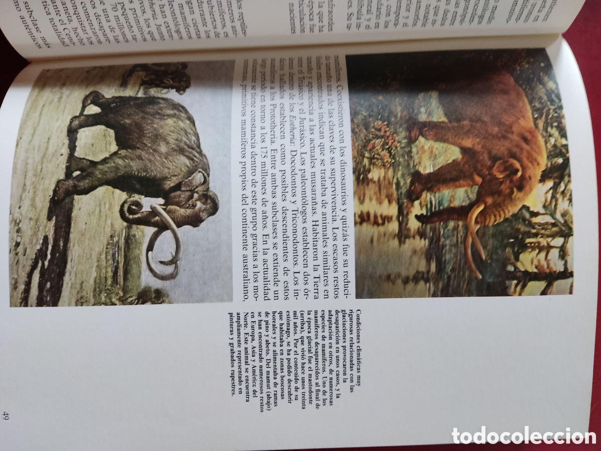 Libros de segunda mano: Historia natural ( Fauna ) - Foto 4