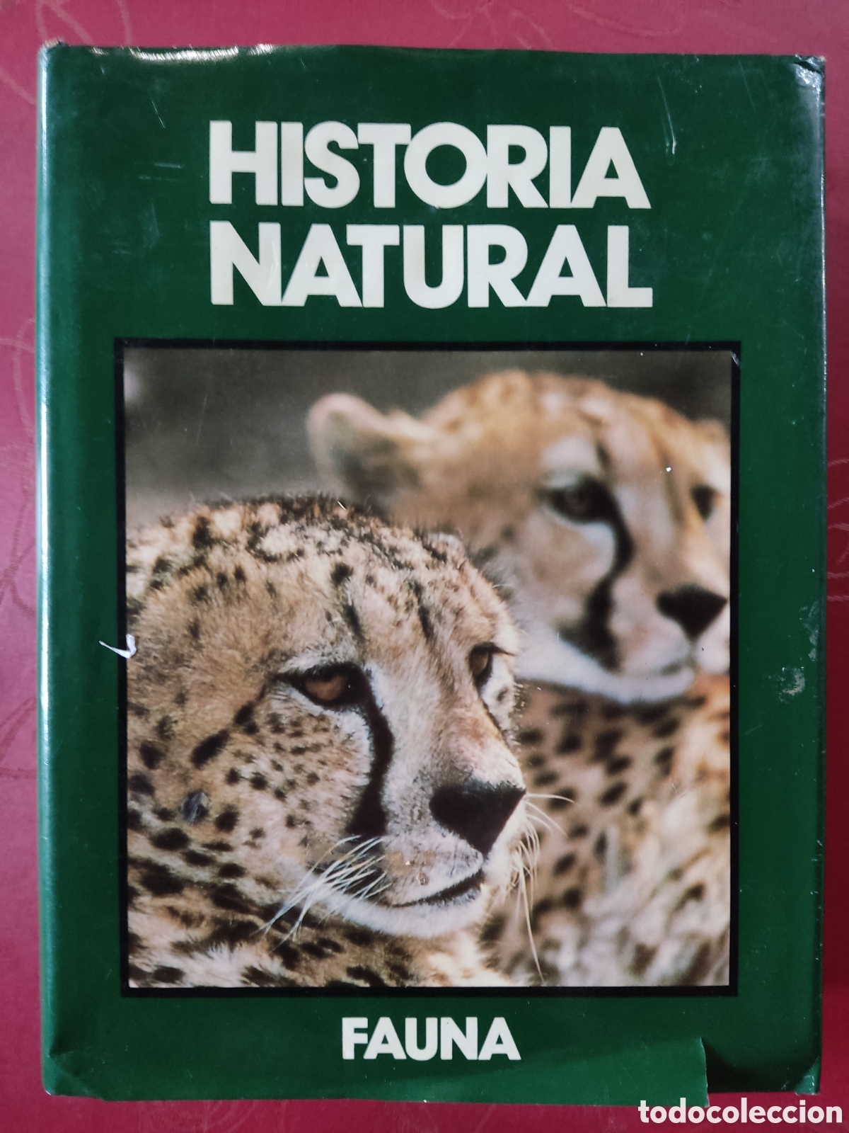 Libros de segunda mano: Historia natural ( Fauna ) - Foto 1