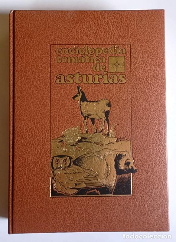 Libros de segunda mano: ENCICLOPEDIA TEMATICA DE ASTURIAS - 13 TOMOS. COMPLETA - SILVERIO CA&Ntilde;ADA EDITOR. 1990/2000 - Foto 2