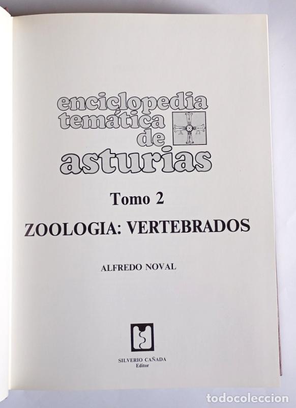 Libros de segunda mano: ENCICLOPEDIA TEMATICA DE ASTURIAS - 13 TOMOS. COMPLETA - SILVERIO CA&Ntilde;ADA EDITOR. 1990/2000 - Foto 3