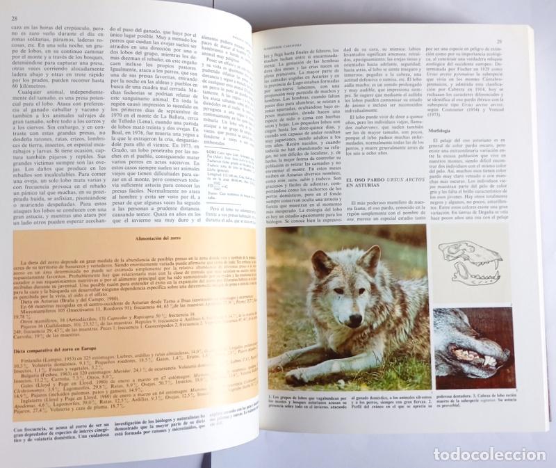 Libros de segunda mano: ENCICLOPEDIA TEMATICA DE ASTURIAS - 13 TOMOS. COMPLETA - SILVERIO CA&Ntilde;ADA EDITOR. 1990/2000 - Foto 4