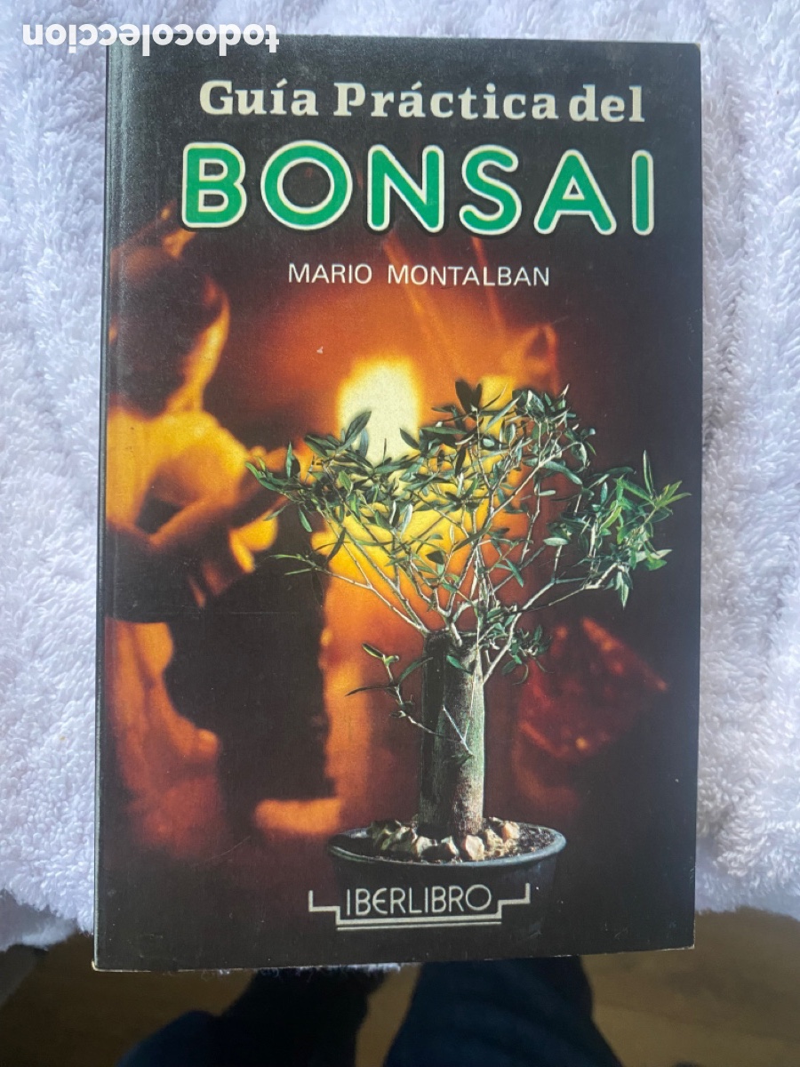 Libros de segunda mano: Gu&iacute;a pr&aacute;ctica del Bonsai. Mario Moltalban. Iberlibro - Foto 1