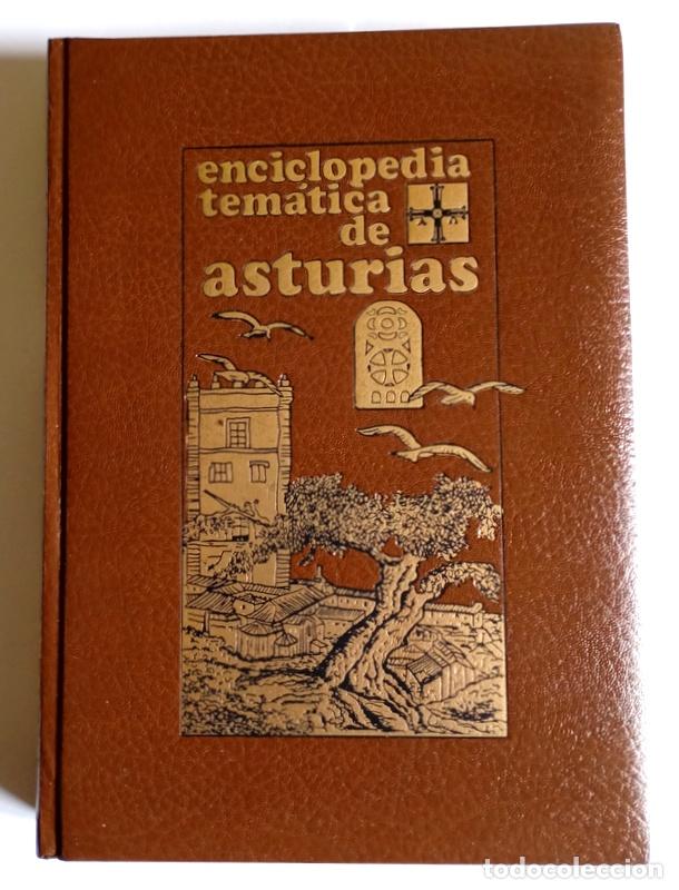 Libros de segunda mano: ENCICLOPEDIA TEMATICA DE ASTURIAS - 13 TOMOS. COMPLETA - SILVERIO CA&Ntilde;ADA EDITOR. 1990/2000 - Foto 6