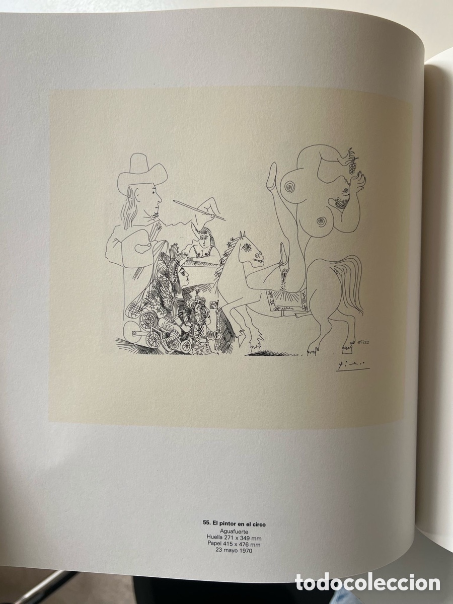 Libros de segunda mano: Picasso-Suite 156 Bancaja - Foto 5