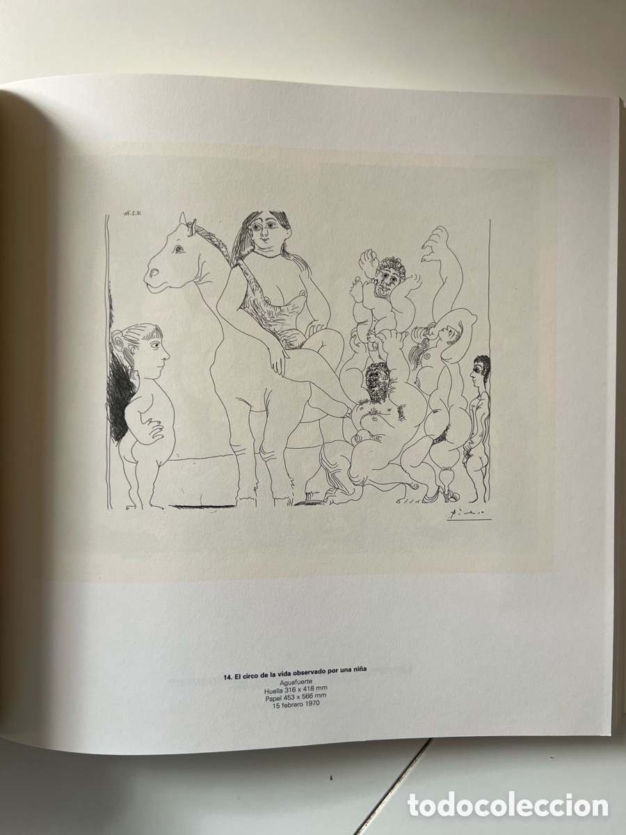 Libros de segunda mano: Picasso-Suite 156 Bancaja - Foto 7