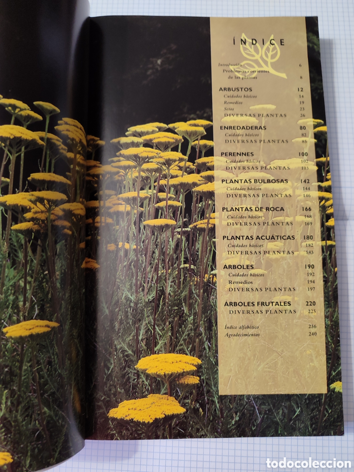 Libros de segunda mano: EL CUIDADO DE LAS PLANTAS DE JARD&Iacute;N. Blume - Foto 2