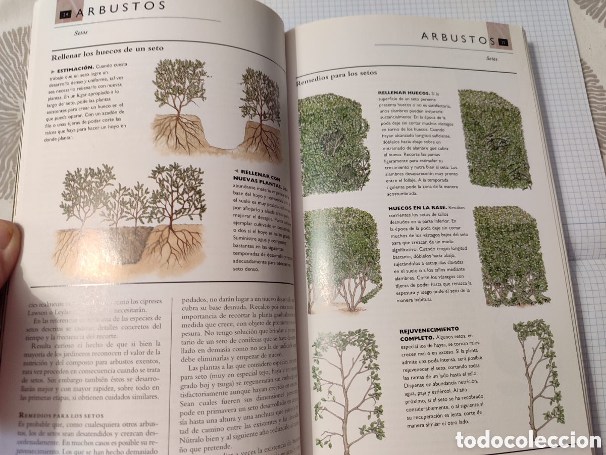 Libros de segunda mano: EL CUIDADO DE LAS PLANTAS DE JARD&Iacute;N. Blume - Foto 5