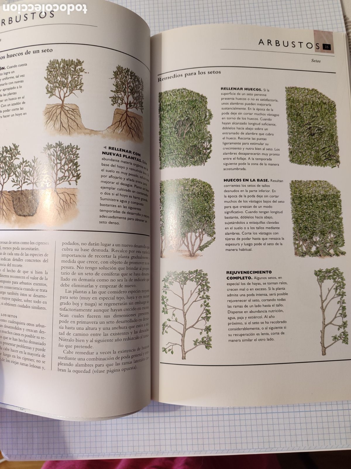 Libros de segunda mano: EL CUIDADO DE LAS PLANTAS DE JARD&Iacute;N. Blume - Foto 6