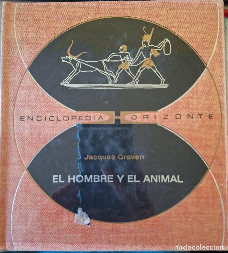 Libros de segunda mano: EL HOMBRE Y EL ANIMAL. - GRAVEN, Jacques. - Foto 1