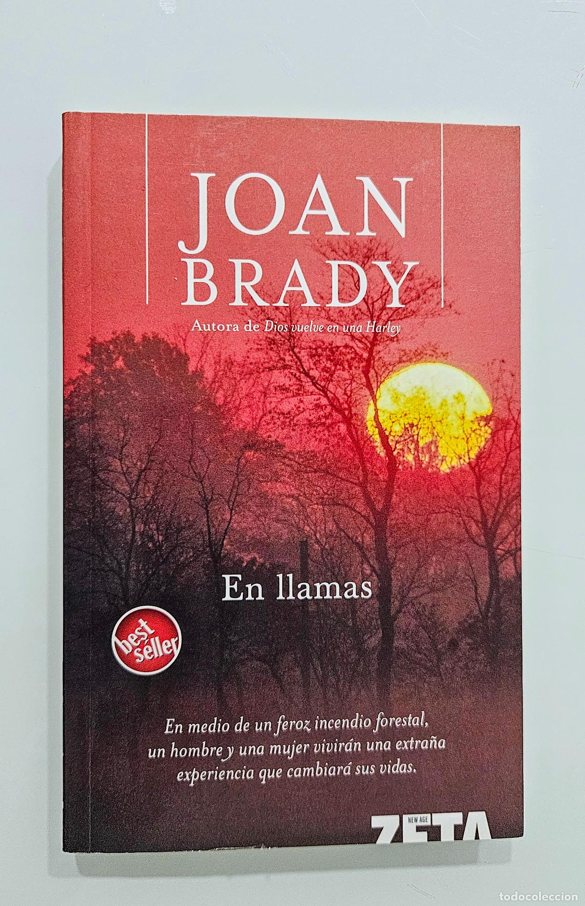 Libros de segunda mano: En llamas / Joan Brady / Ediciones B, 2006 - Foto 2