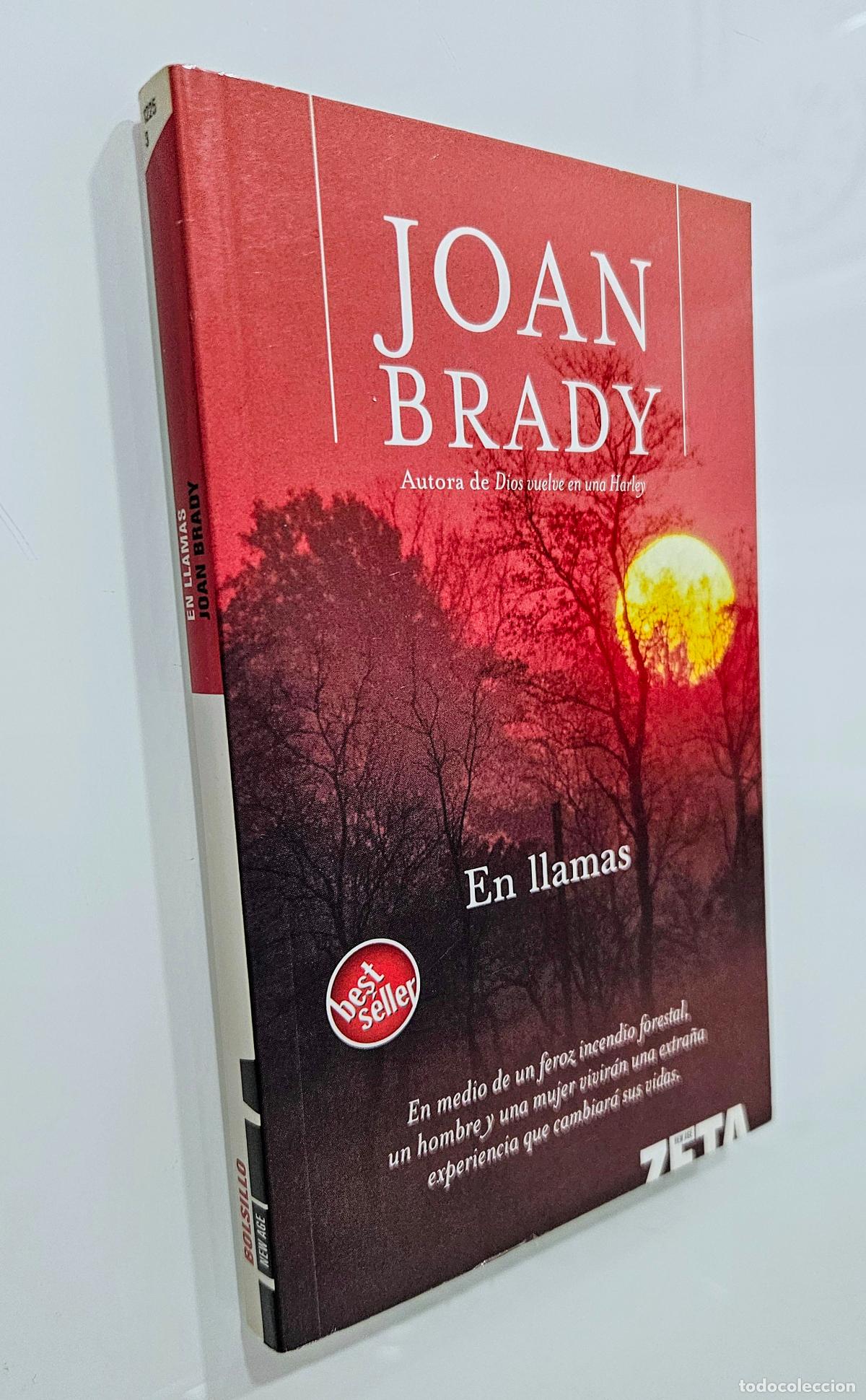 Libros de segunda mano: En llamas / Joan Brady / Ediciones B, 2006 - Foto 1