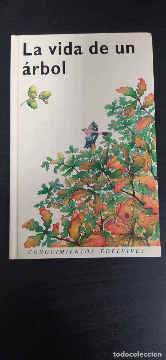 Libros de segunda mano: LIBRO LA VIDA DE UN &Aacute;RBOL EDELVIVES - Foto 1