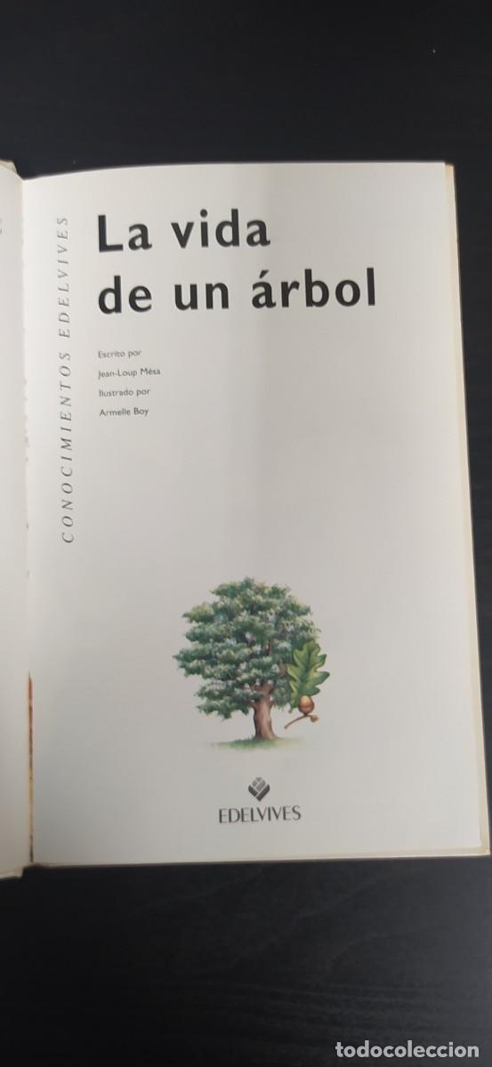 Libros de segunda mano: LIBRO LA VIDA DE UN &Aacute;RBOL EDELVIVES - Foto 3