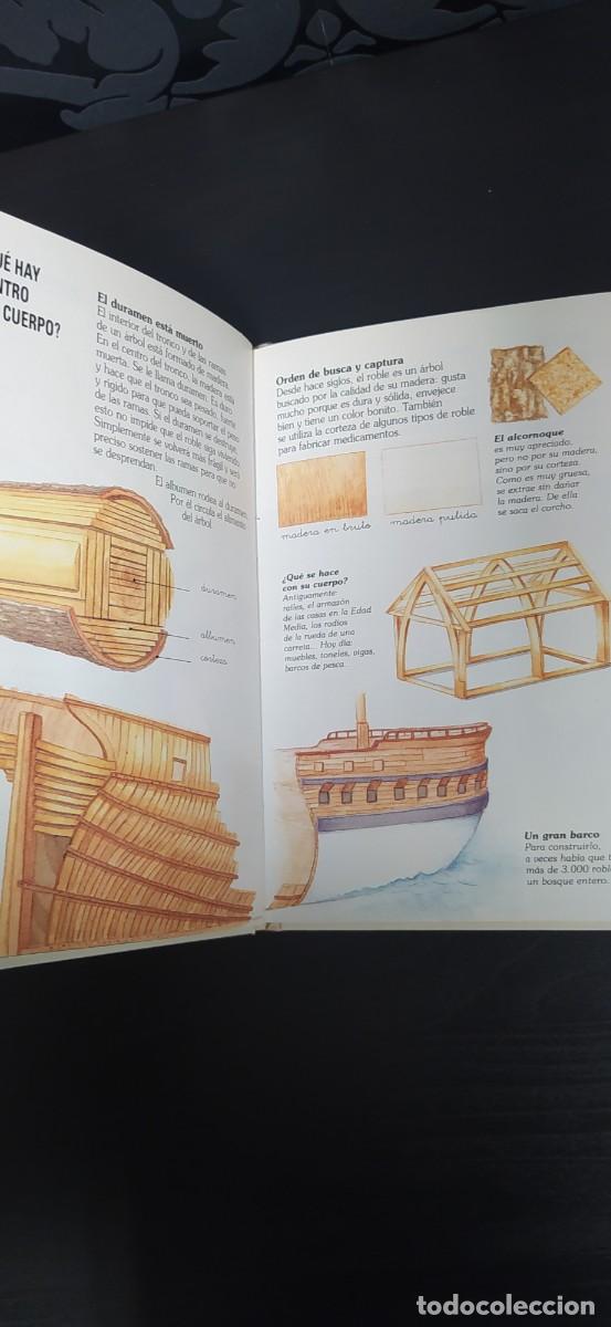Libros de segunda mano: LIBRO LA VIDA DE UN &Aacute;RBOL EDELVIVES - Foto 4