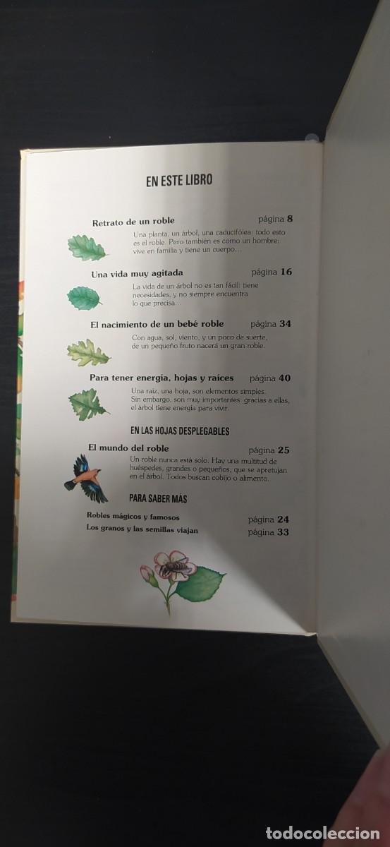 Libros de segunda mano: LIBRO LA VIDA DE UN &Aacute;RBOL EDELVIVES - Foto 5