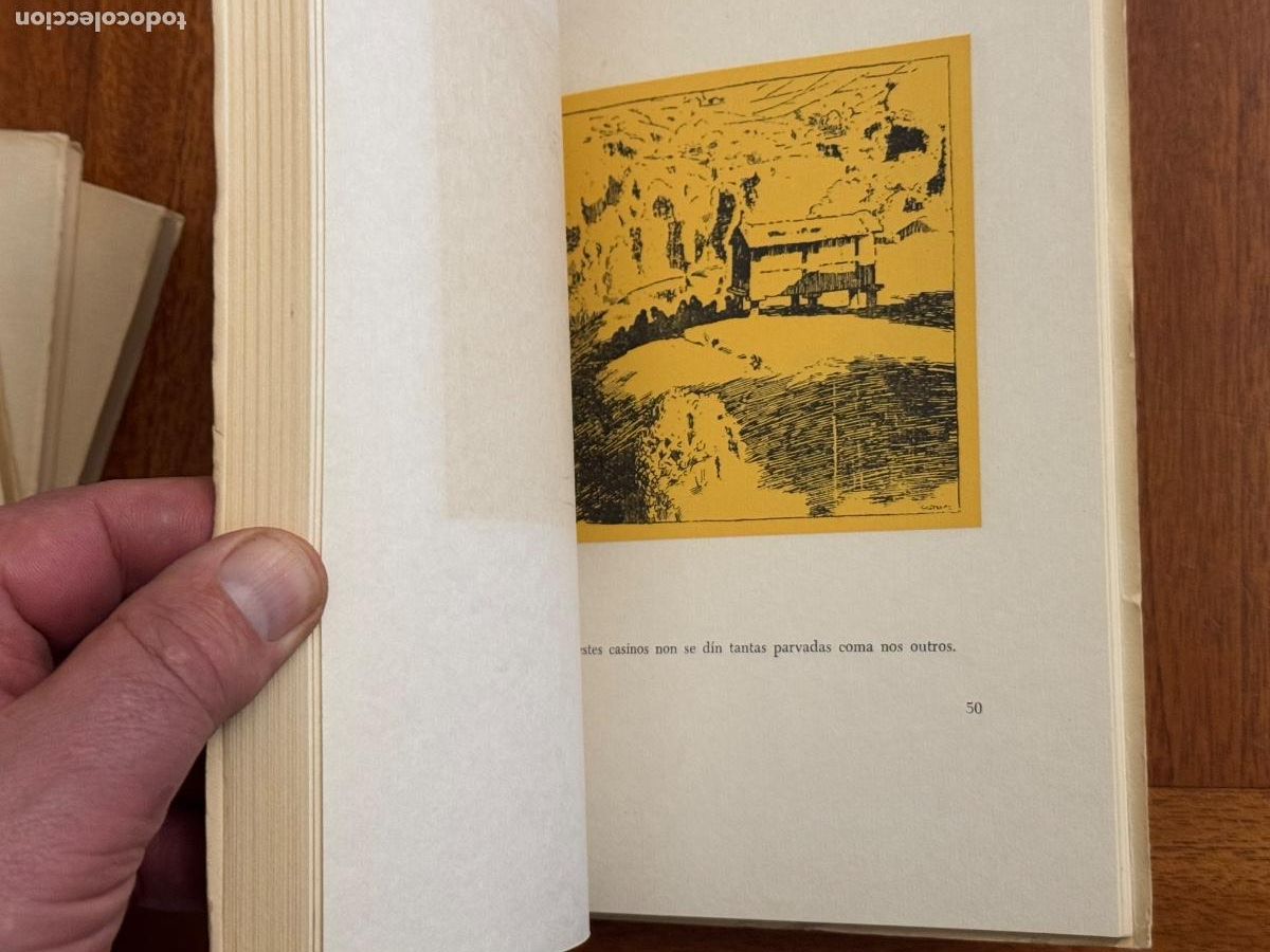 Libros de segunda mano: Alfonso Rodr&iacute;guez Castelao. Lugo Galicia - Foto 14