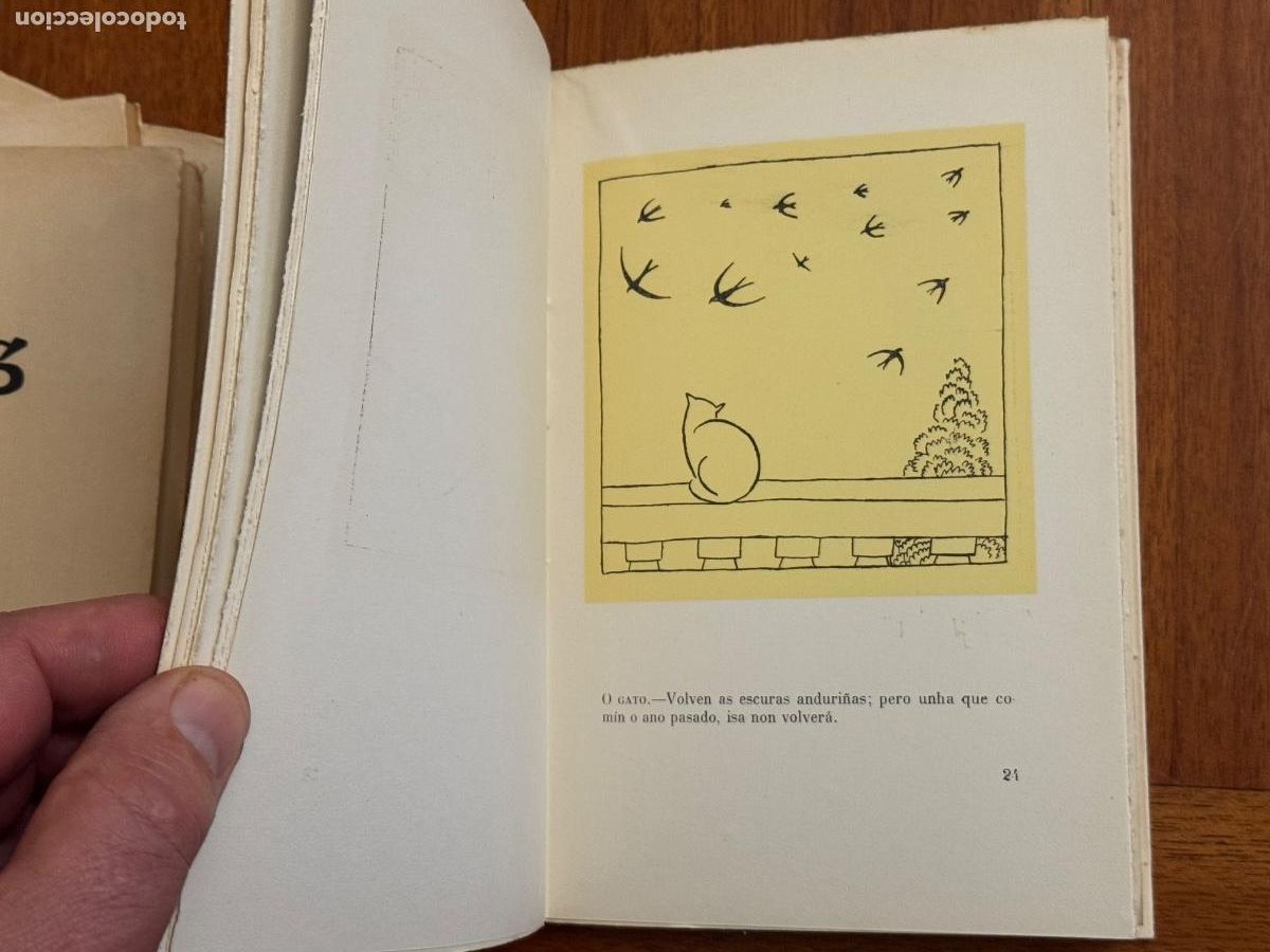 Libros de segunda mano: Alfonso Rodr&iacute;guez Castelao. Lugo Galicia - Foto 17