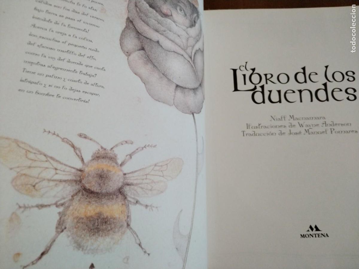 Libros de segunda mano: El libro de los duendes -Niall Macnamara -wayne anderson-primera edici&oacute;n - Foto 5