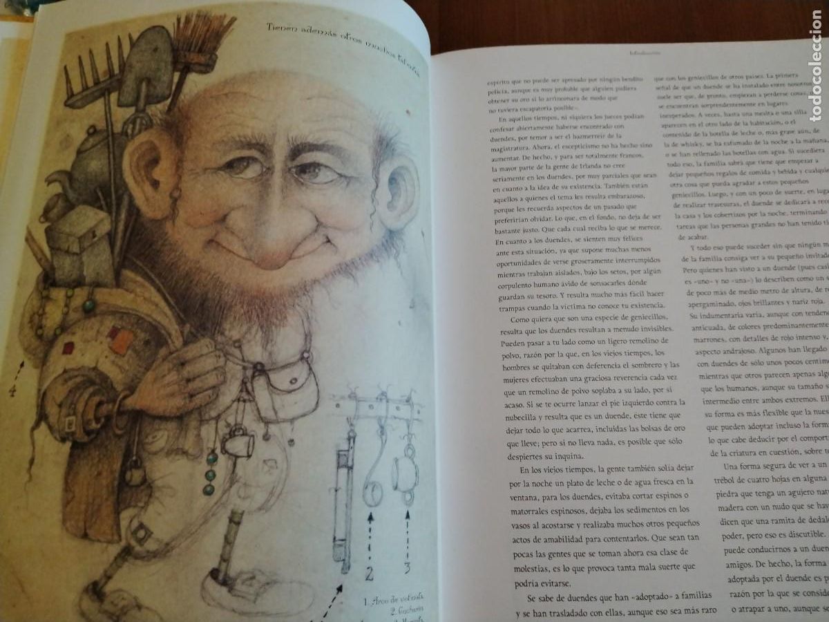 Libros de segunda mano: El libro de los duendes -Niall Macnamara -wayne anderson-primera edici&oacute;n - Foto 7