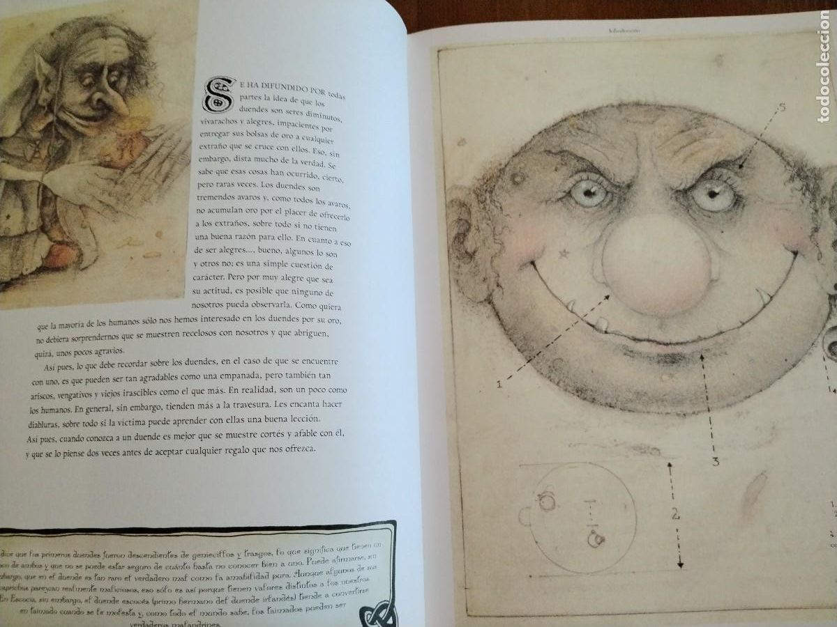 Libros de segunda mano: El libro de los duendes -Niall Macnamara -wayne anderson-primera edici&oacute;n - Foto 8