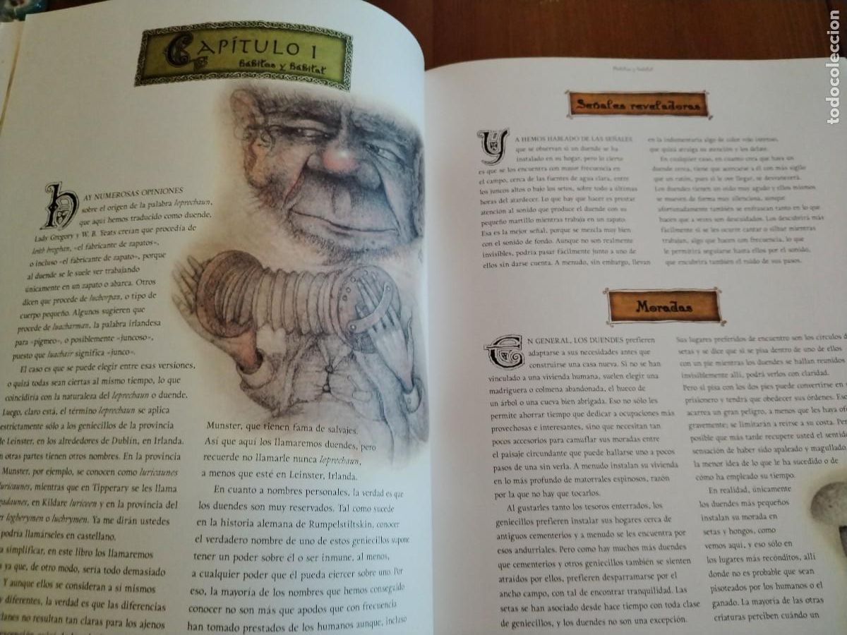 Libros de segunda mano: El libro de los duendes -Niall Macnamara -wayne anderson-primera edici&oacute;n - Foto 9