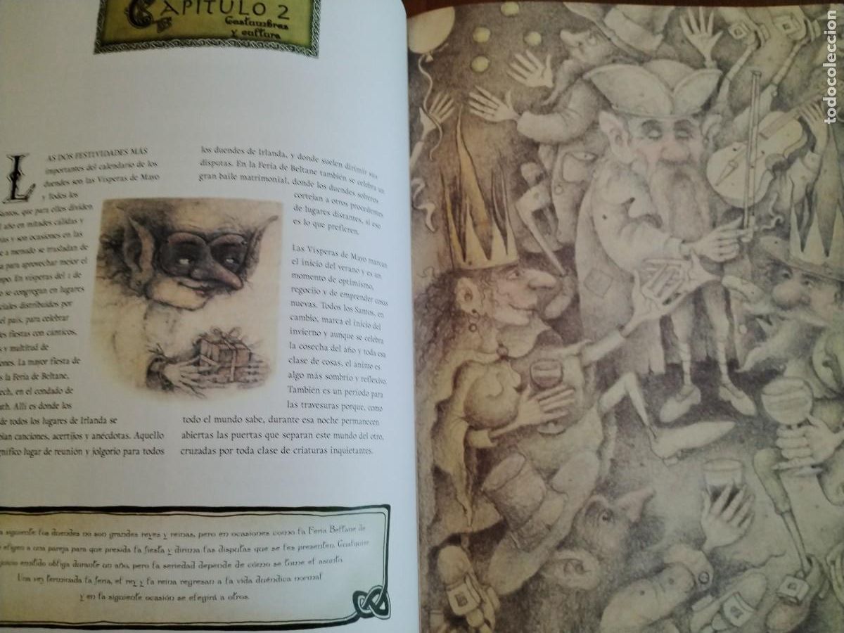 Libros de segunda mano: El libro de los duendes -Niall Macnamara -wayne anderson-primera edici&oacute;n - Foto 11