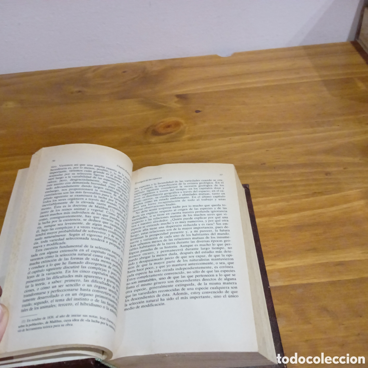Libros de segunda mano: El origen de las especies Charles Darwin - Foto 4