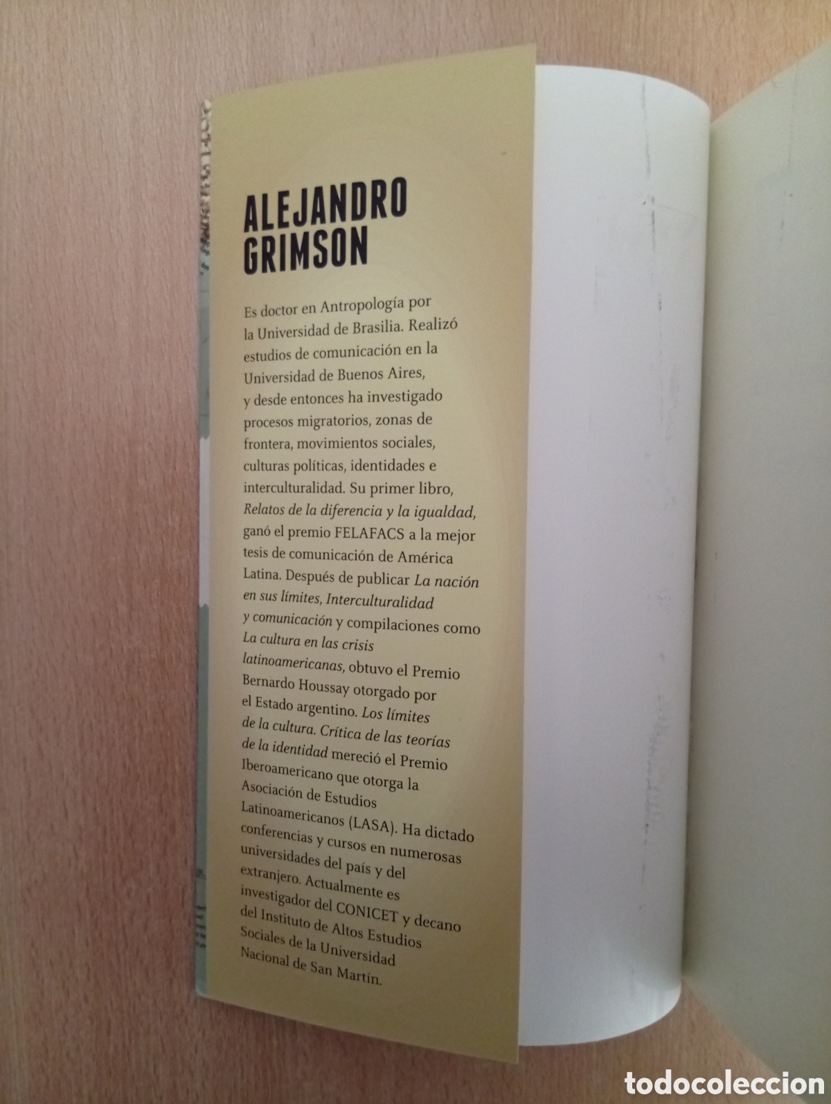 Libros de segunda mano: MITOMAN&Iacute;AS ARGENTINAS. Alejandro Grimson - Foto 7