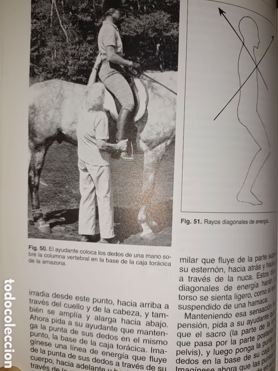 Libros de segunda mano: Equitaci&oacute;n Centrada Sally Seift - Foto 8