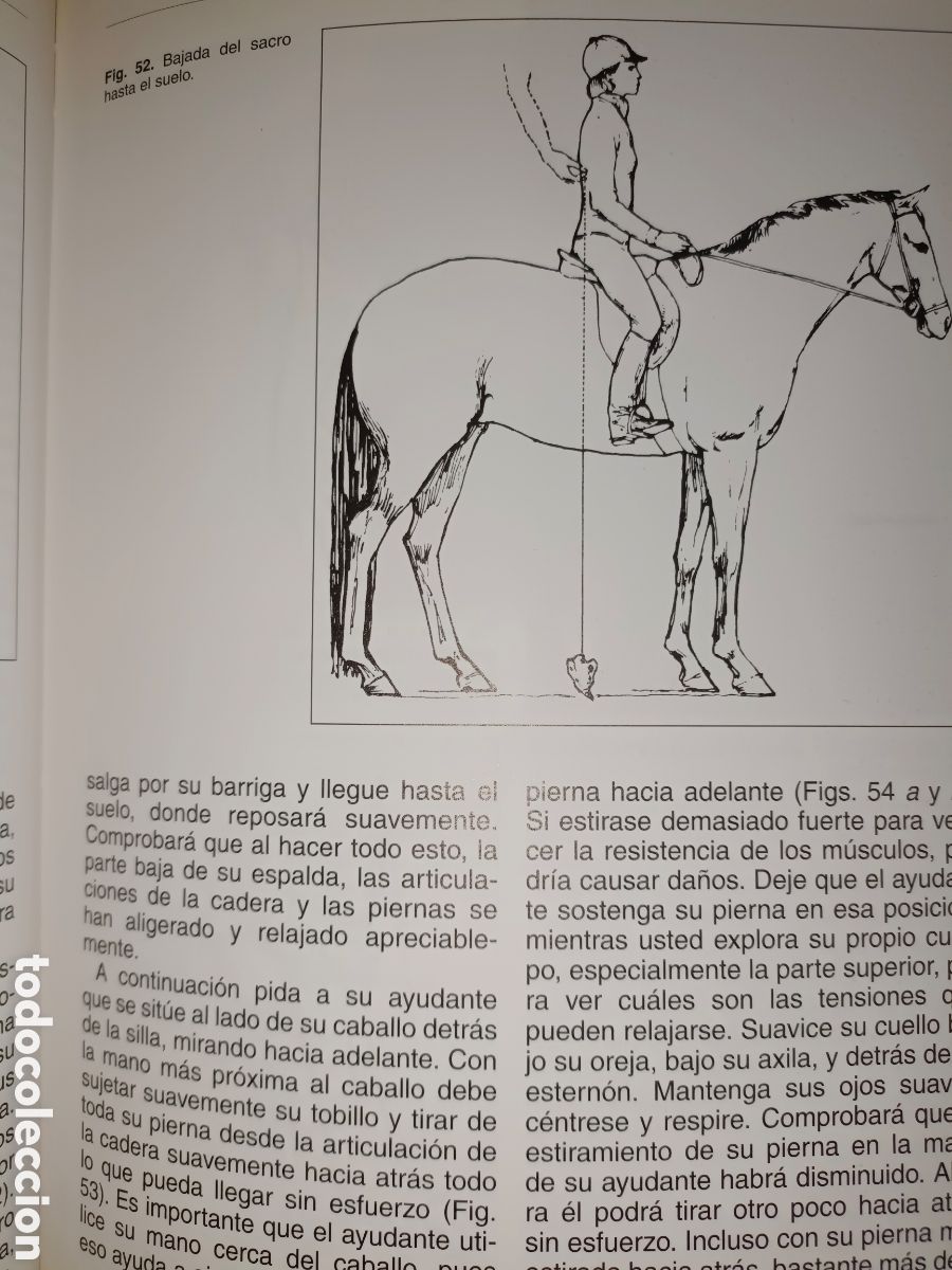 Libros de segunda mano: Equitaci&oacute;n Centrada Sally Seift - Foto 9