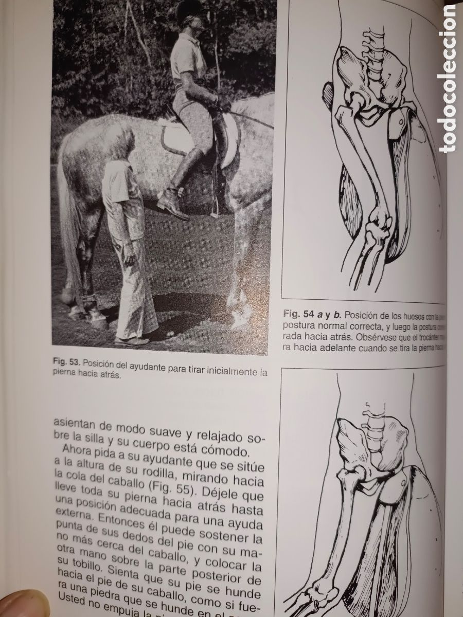 Libros de segunda mano: Equitaci&oacute;n Centrada Sally Seift - Foto 10
