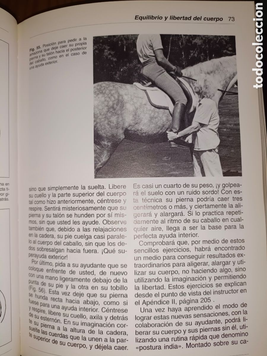Libros de segunda mano: Equitaci&oacute;n Centrada Sally Seift - Foto 11
