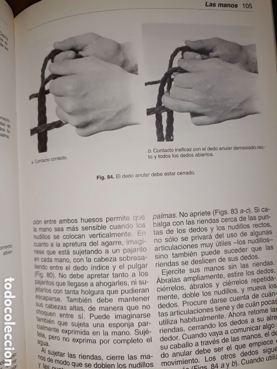 Libros de segunda mano: Equitaci&oacute;n Centrada Sally Seift - Foto 13