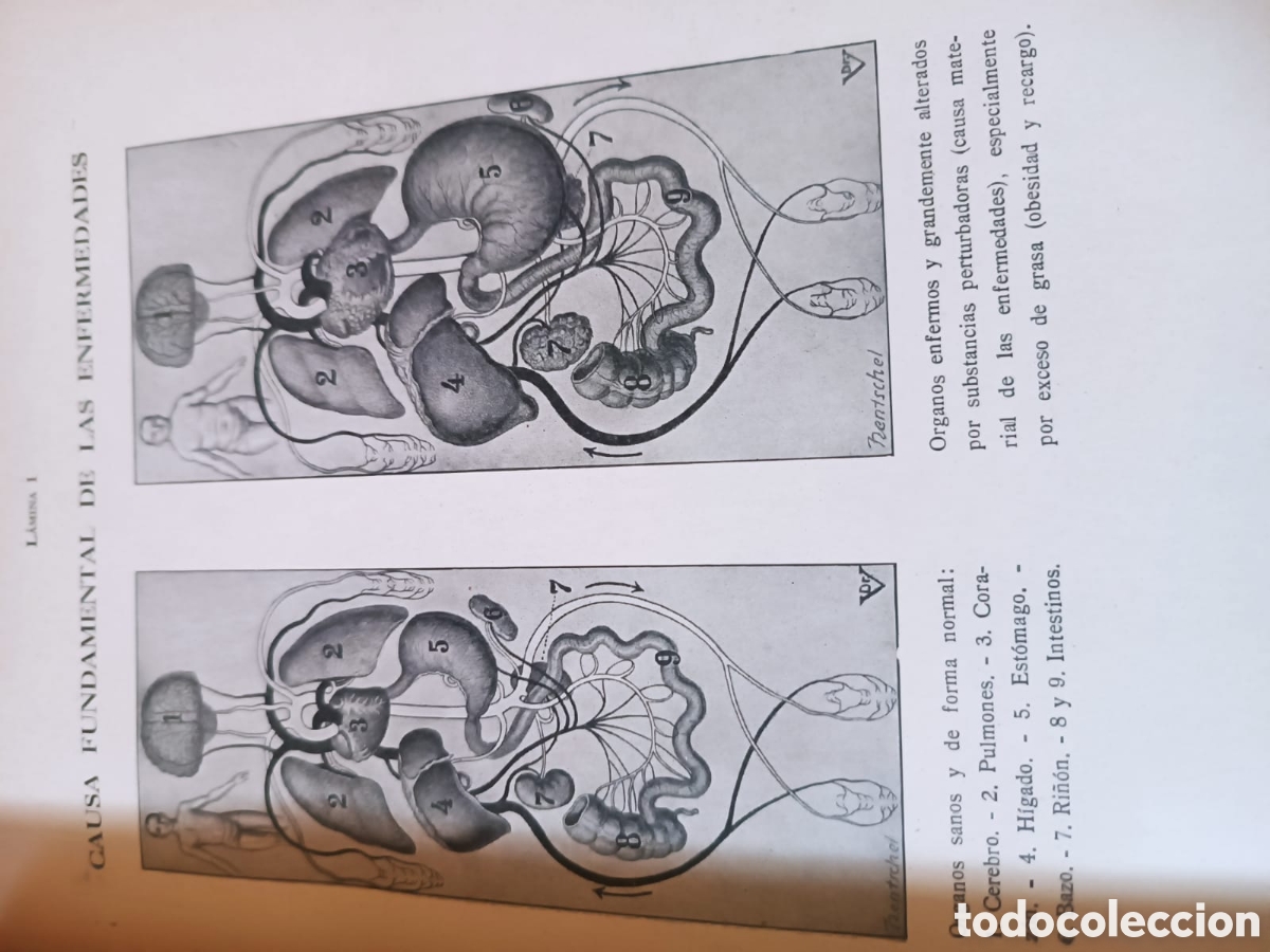 Libros de segunda mano: Moderna Medicina Natural, Dr Vander - Foto 5